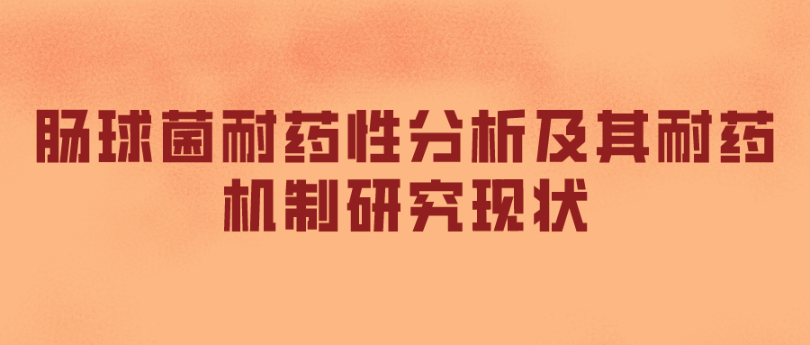 肠球菌耐药性分析及其耐药机制研究现状